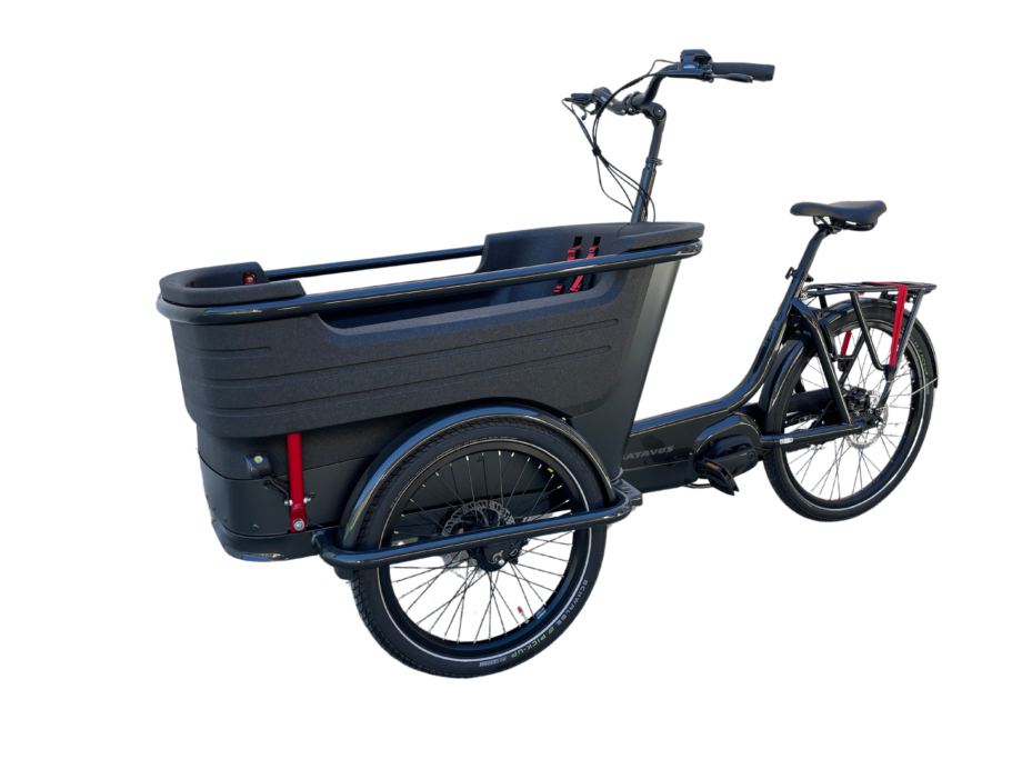 Cargo e-bike