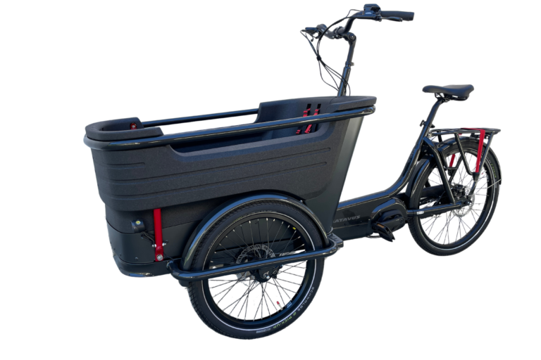 Cargo e-bike