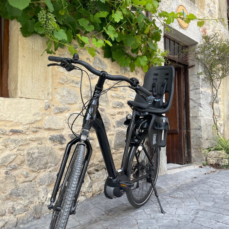 Bici eléctrica para tour